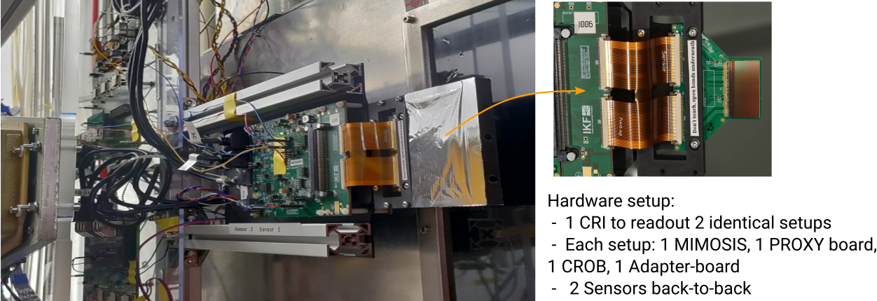 The mMVD Setup in the mCBM cave